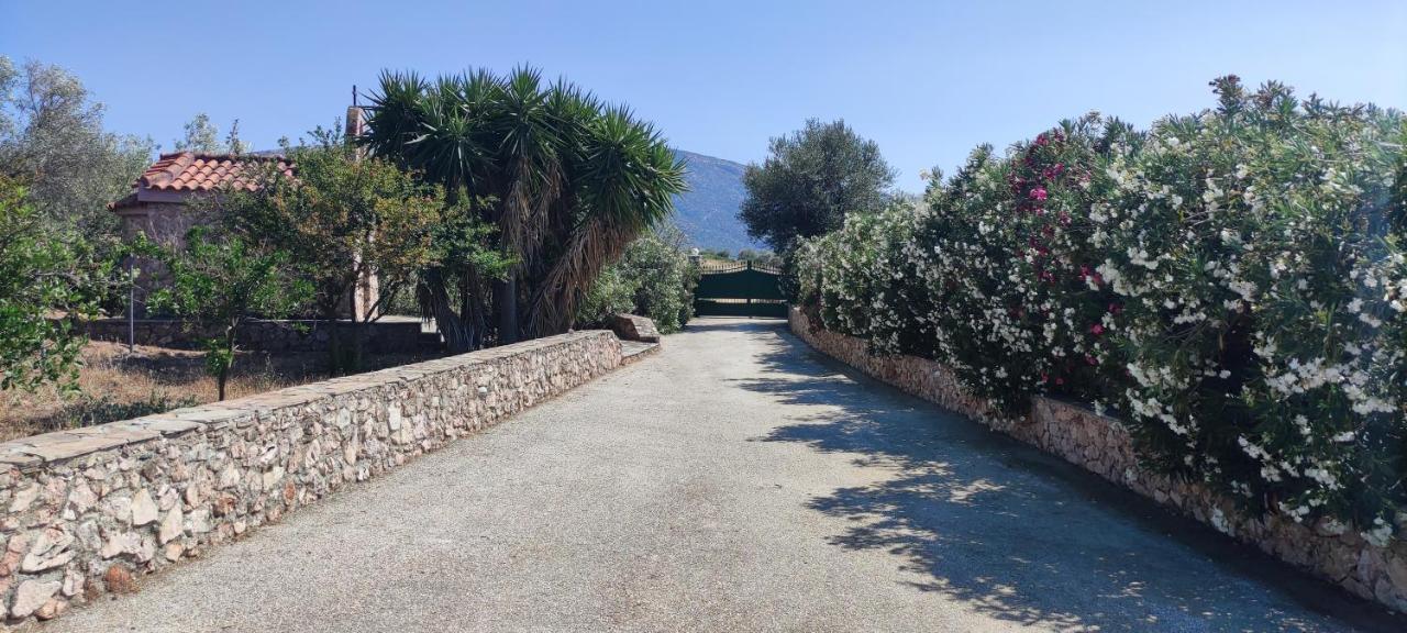 Willa Ellie'S Stonehouse Gianapa, Porto Rafti, Greece, 190 03, Gr Zewnętrze zdjęcie
